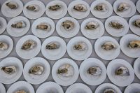 Edizione 2024/2023 75